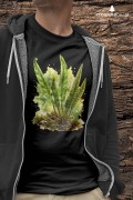 Języcznik zwyczajny /Asplenium scolopendrium/ - prezent dla botanika, prezent dla florysty, miłośnika roślin - Koszulka