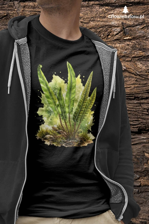 Języcznik zwyczajny /Asplenium scolopendrium/ - prezent dla botanika, prezent dla florysty, miłośnika roślin - Koszulka