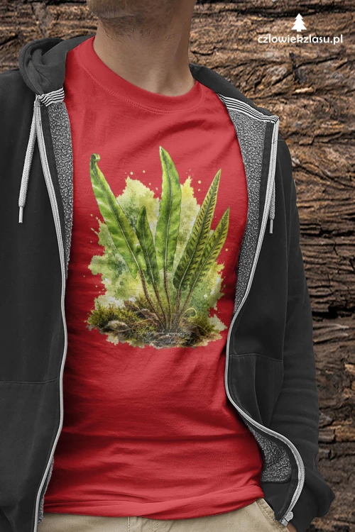 Języcznik zwyczajny /Asplenium scolopendrium/ - prezent dla botanika, prezent dla florysty, miłośnika roślin - Koszulka