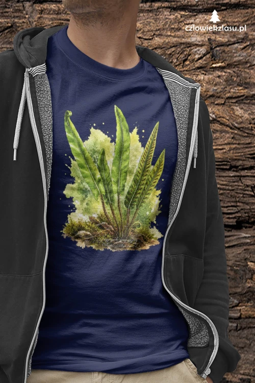 Języcznik zwyczajny /Asplenium scolopendrium/ - prezent dla botanika, prezent dla florysty, miłośnika roślin - Koszulka