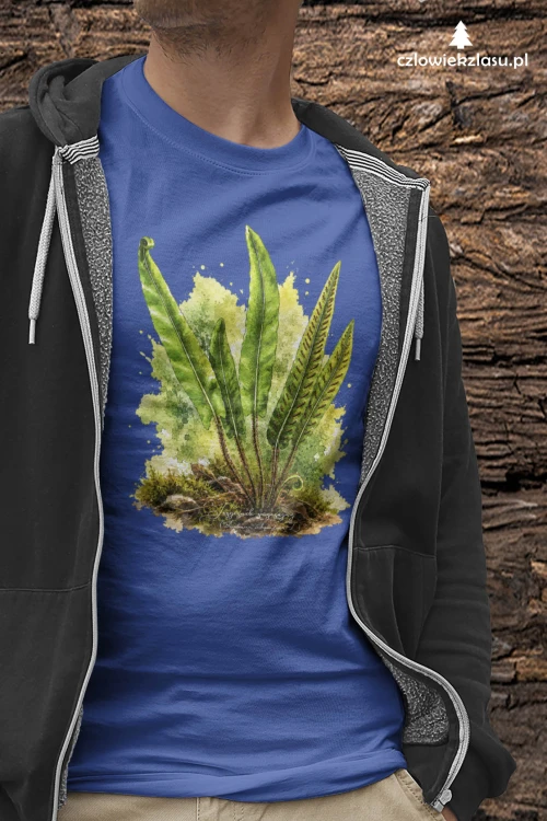 Języcznik zwyczajny /Asplenium scolopendrium/ - prezent dla botanika, prezent dla florysty, miłośnika roślin - Koszulka