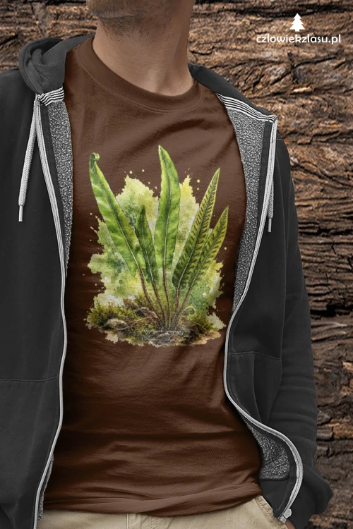 Języcznik zwyczajny /Asplenium scolopendrium/ - prezent dla botanika, prezent dla florysty, miłośnika roślin - Koszulka