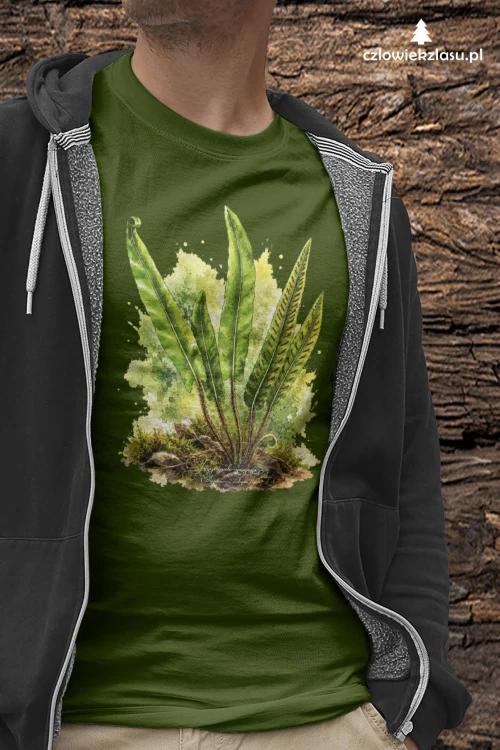 Języcznik zwyczajny /Asplenium scolopendrium/ - prezent dla botanika, prezent dla florysty, miłośnika roślin - Koszulka