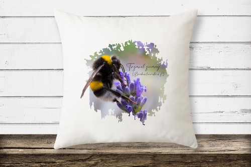 Biała poduszka z mikrofibry z trzmielem ziemnym (Bombus terrestris) - autorska grafika Pauliny Strejczek-Jaźwińskiej. Rozmiar 39x39 cm, wypełnienie ze sztucznego puchu. Kolekcja Trzmiele, Człowiek z Lasu.
