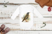 Szpak /Sturnus vulgaris/ - prezent dla ornitologa - Body