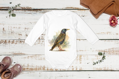 Szpak /Sturnus vulgaris/ - prezent dla ornitologa - Body