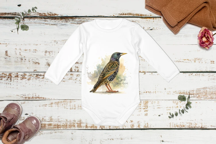 Szpak /Sturnus vulgaris/ - prezent dla ornitologa - Body