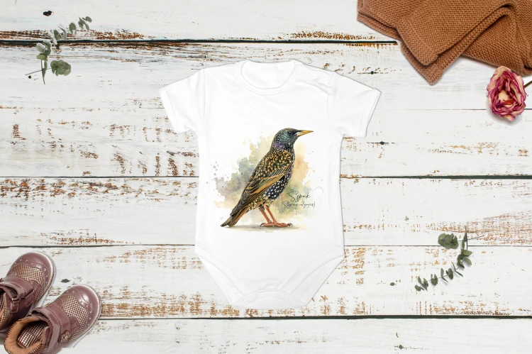 Szpak /Sturnus vulgaris/ - prezent dla ornitologa - Body