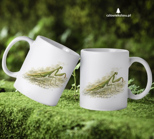 Modliszka zwyczajna /Mantis religiosa/ - prezent dla entomologa - kubek ceramiczny