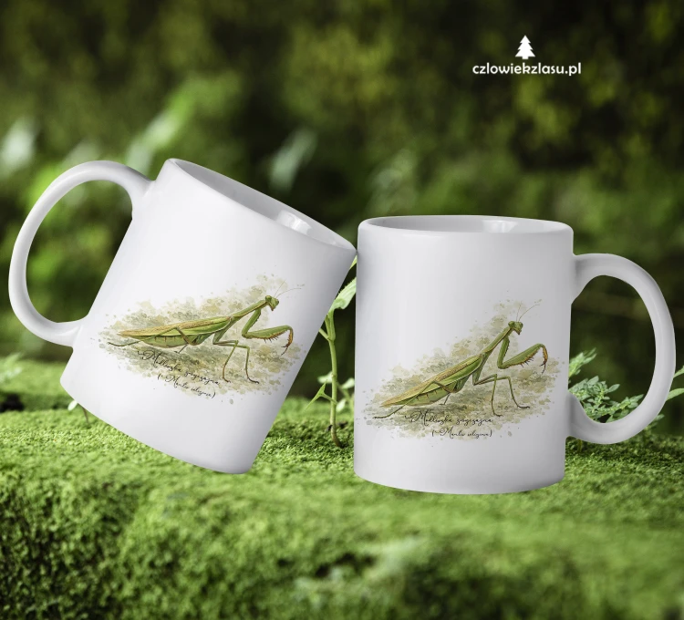 Modliszka zwyczajna /Mantis religiosa/ - prezent dla entomologa - kubek ceramiczny