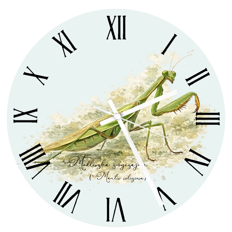 Szklany zegar z modliszką zwyczajną (Mantis religiosa) - autorska grafika Pauliny Strejczek-Jaźwińskiej. Średnica 30 cm, białe metalowe wskazówki. Kolekcja Modliszka, Człowiek z Lasu.