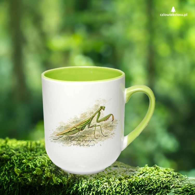 Modliszka zwyczajna /Mantis religiosa/ - Kubek coffee