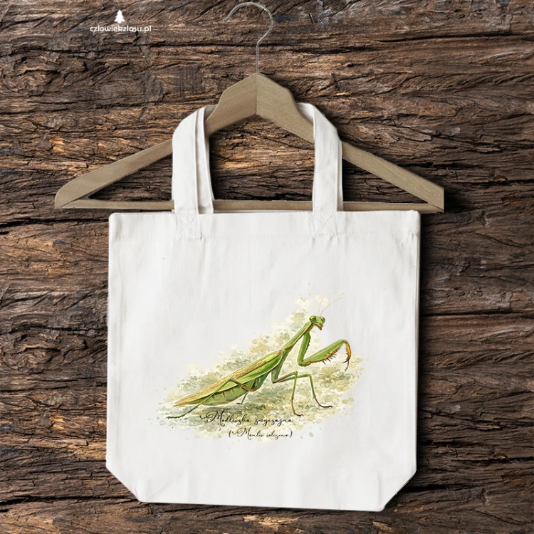 Modliszka zwyczajna /Mantis religiosa/ - prezent dla entomologa - Torba naturalna