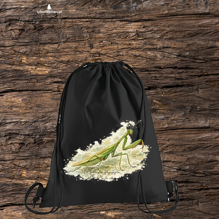 Modliszka zwyczajna /Mantis religiosa/ - prezent dla entomologa - Torba naturalna