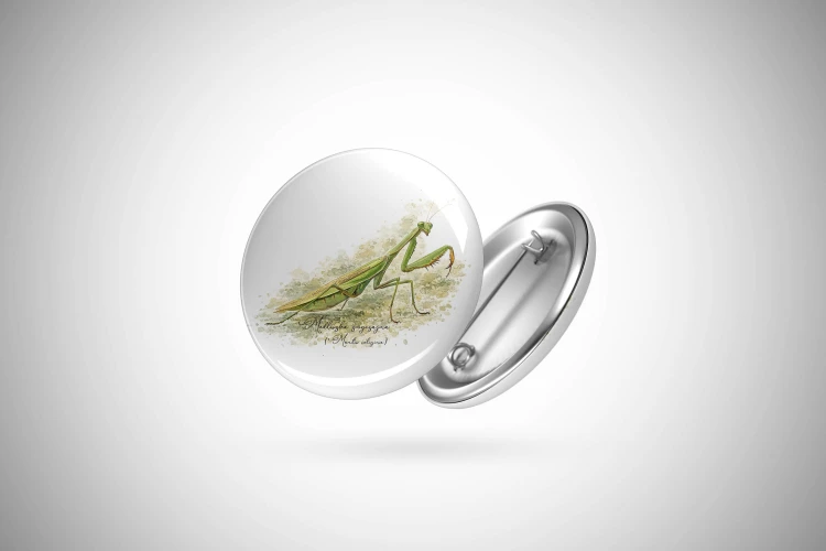 Przypinka z modliszką zwyczajną (Mantis religiosa) - autorska grafika Pauliny Strejczek-Jaźwińskiej. Front i tył z aluminium, zapięcie na agrafkę. Kolekcja Modliszka, Człowiek z Lasu.