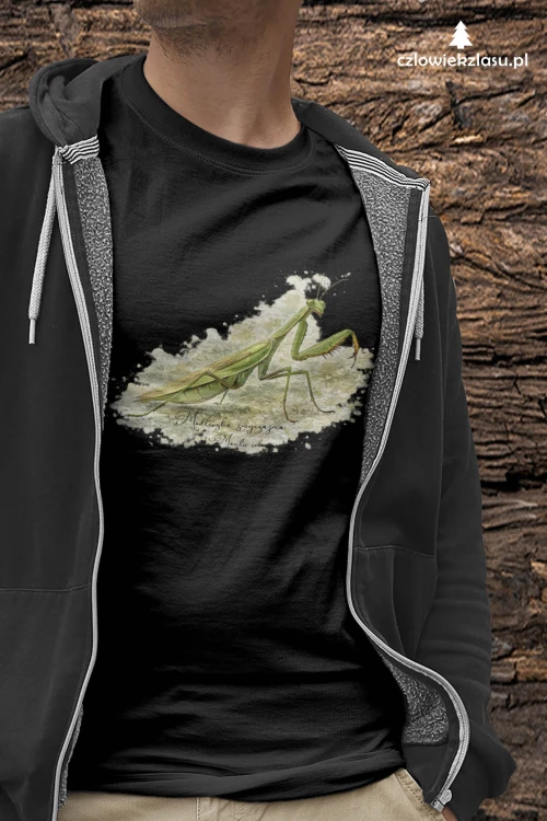 Modliszka zwyczajna /Mantis religiosa/ - prezent dla entomologa - Koszulka damska / męska