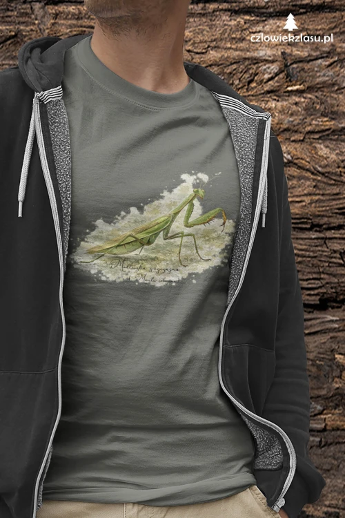 Modliszka zwyczajna /Mantis religiosa/ - prezent dla entomologa - Koszulka damska / męska