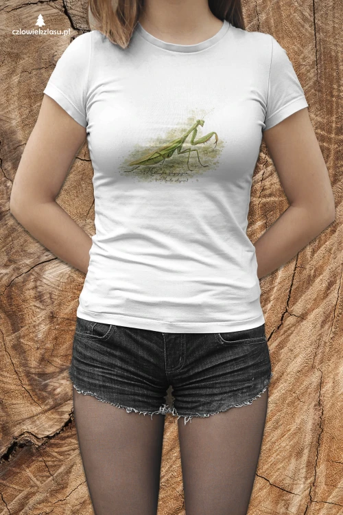 Modliszka zwyczajna /Mantis religiosa/ - prezent dla entomologa - Koszulka damska / męska
