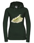 Modliszka zwyczajna /Mantis religiosa/ - prezent dla entomologa - Koszulka damska / męska