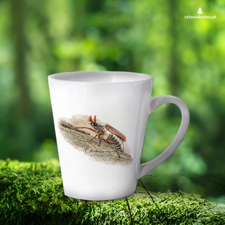 Chrabąszcz majowy /Melolontha melolontha/ - prezent dla Entomologa - Kubek latte