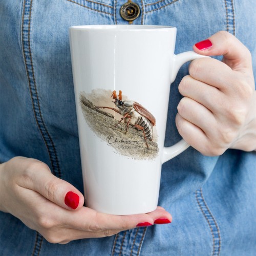 Chrabąszcz majowy /Melolontha melolontha/ - prezent dla Entomologa - Kubek latte