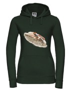 Chrabąszcz majowy /Melolontha melolontha/ - prezent dla Entomologa - Bluza z kapturem / Bluza bez kaptura