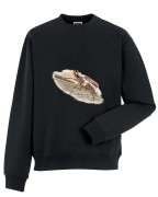 Chrabąszcz majowy /Melolontha melolontha/ - prezent dla Entomologa - Bluza z kapturem / Bluza bez kaptura