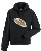 Chrabąszcz majowy /Melolontha melolontha/ - prezent dla Entomologa - Bluza z kapturem / Bluza bez kaptura