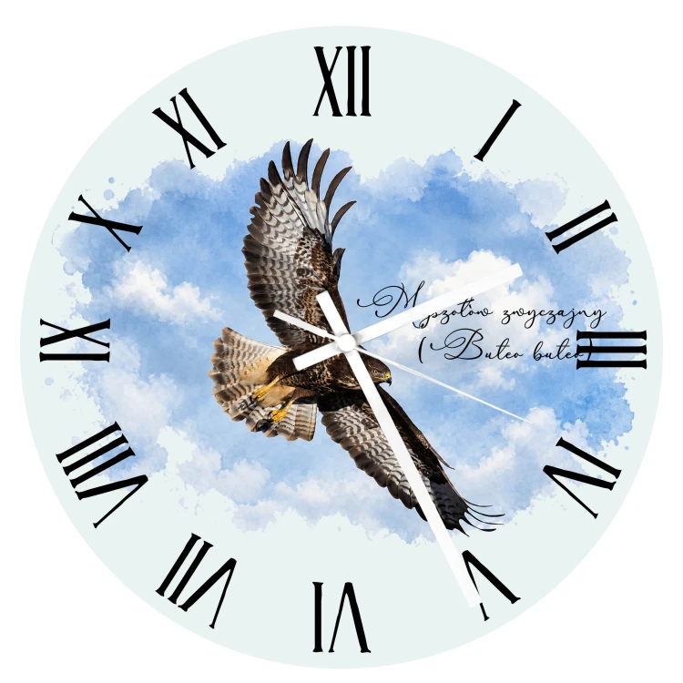 Myszołów (Buteo buteo) - prezent dla Ornitologa - Zegar