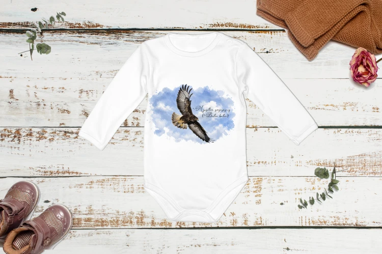 Myszołów/Buteo buteo/ - Body - Bodziak