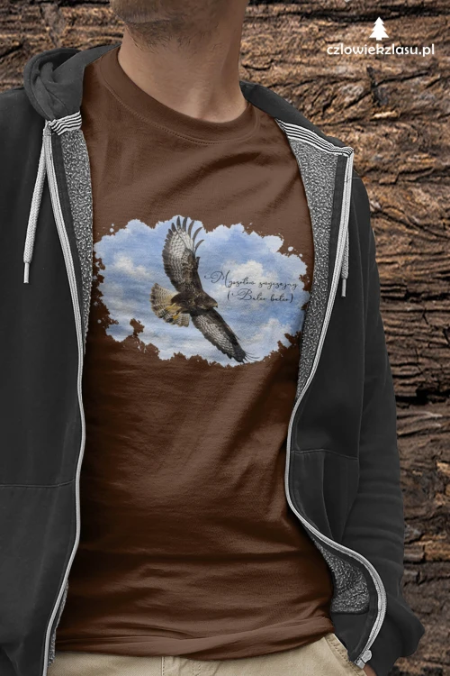 Myszołów (Buteo buteo) - prezent dla Ornitologa - koszulka damska/meska