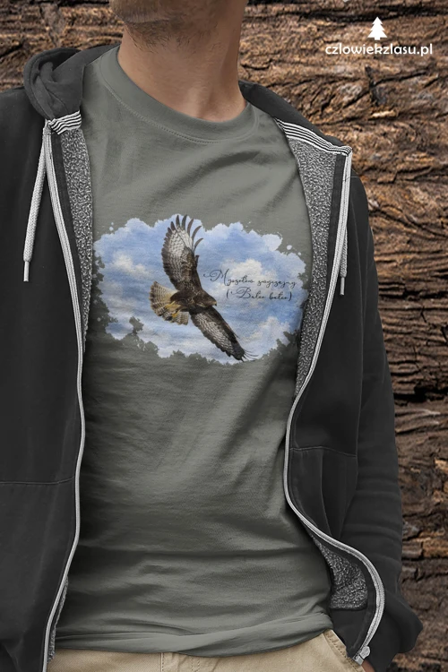 Myszołów (Buteo buteo) - prezent dla Ornitologa - koszulka damska/meska
