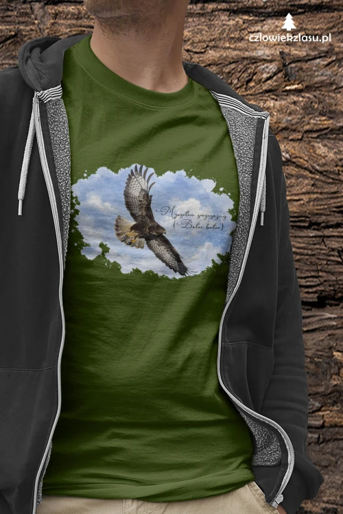 Myszołów (Buteo buteo) - prezent dla Ornitologa - koszulka damska/meska