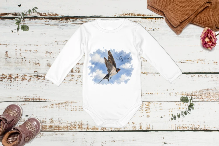 Dymówka /Hirundo rustica/ - Body - Bodziak