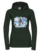 Dymówka /Hirundo rustica/ - prezent dla ornitologa - Bluza z kapturem / Bluza bez kaptura