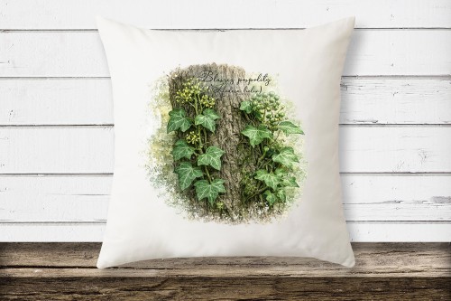 Bluszcz pospolity /Hedera helix/- prezent dla botanika, prezent dla florysty, miłośnika roślin - Poduszka