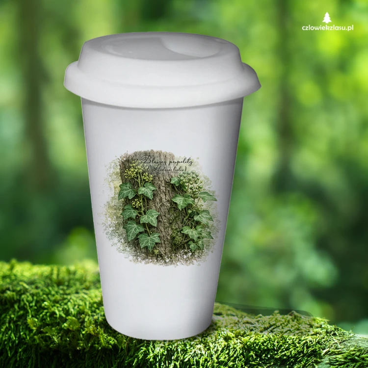 Bluszcz pospolity /Hedera helix/ - prezent dla botanika, prezent dla florysty, miłośnika roślin - Tumbler