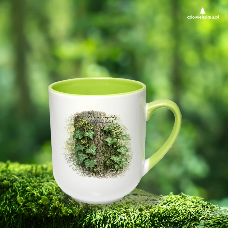 Bluszcz pospolity /Hedera helix/ - prezent dla botanika, prezent dla florysty, miłośnika roślin - Kubek coffee
