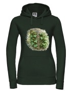 Bluszcz pospolity /Hedera helix/ - prezent dla botanika, prezent dla florysty, miłośnika roślin - Bluza z kapturem / Bluza bez kaptura