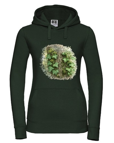 Bluszcz pospolity /Hedera helix/ - prezent dla botanika, prezent dla florysty, miłośnika roślin - Bluza z kapturem / Bluza bez kaptura