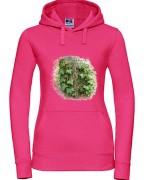 Bluszcz pospolity /Hedera helix/ - prezent dla botanika, prezent dla florysty, miłośnika roślin - Bluza z kapturem / Bluza bez kaptura