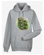 Bluszcz pospolity /Hedera helix/ - prezent dla botanika, prezent dla florysty, miłośnika roślin - Bluza z kapturem / Bluza bez kaptura