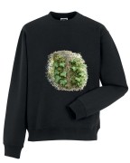 Bluszcz pospolity /Hedera helix/ - prezent dla botanika, prezent dla florysty, miłośnika roślin - Bluza z kapturem / Bluza bez kaptura