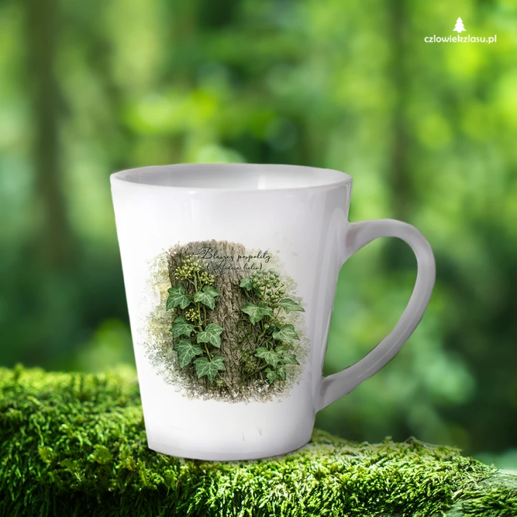 Bluszcz pospolity /Hedera helix/ - prezent dla botanika, prezent dla florysty, miłośnika roślin - Kubek latte