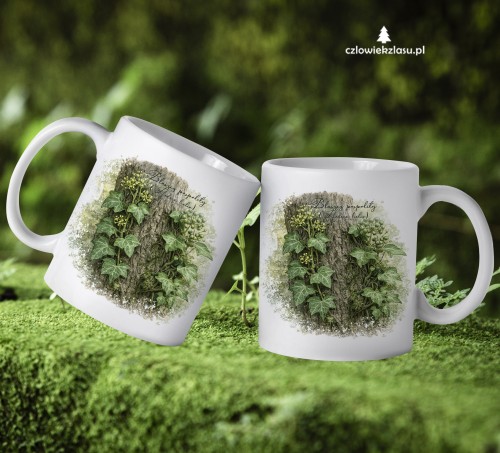 Bluszcz pospolity /Hedera helix/ - prezent dla botanika, prezent dla florysty, miłośnika roślin - kubek ceramiczny