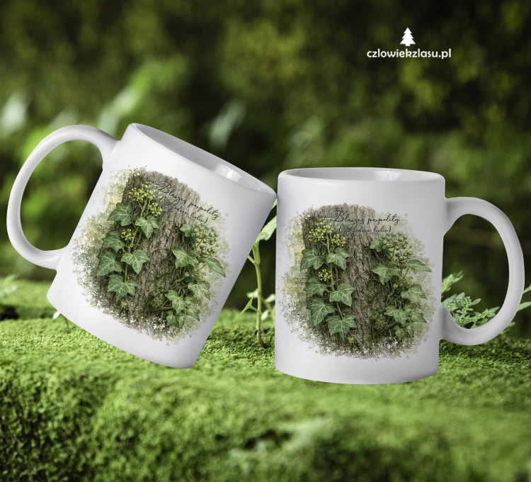 Bluszcz pospolity /Hedera helix/ - prezent dla botanika, prezent dla florysty, miłośnika roślin - kubek ceramiczny