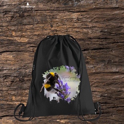 Czarny bawełniany worek-plecak z trzmielem ziemnym (Bombus terrestris) - autorska grafika Pauliny Strejczek-Jaźwińskiej. Gramatura 340 g/m², nadruk DTF. Kolekcja Trzmiele, Człowiek z Lasu.