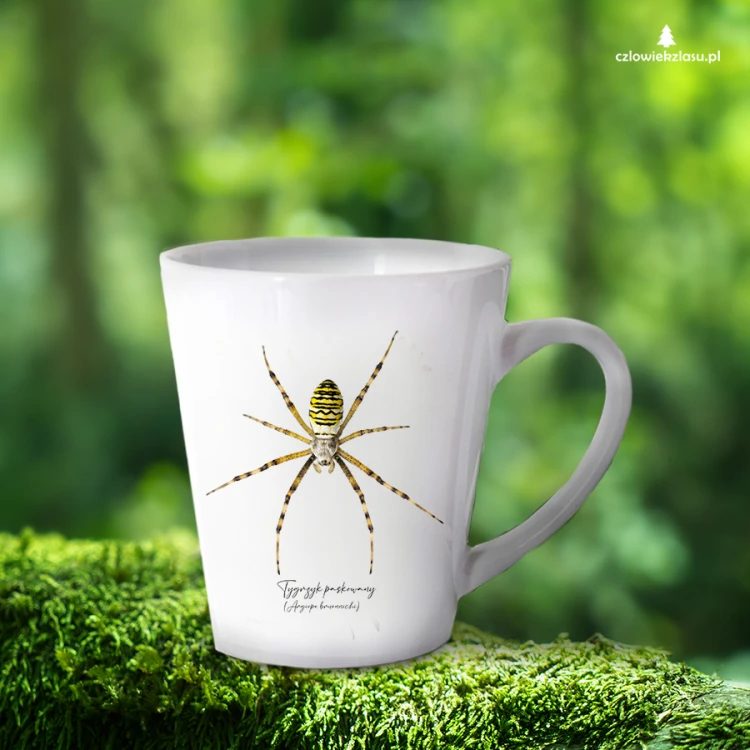Biały kubek latte 300 ml z tygrzykiem paskowanym (Argiope bruennichi) - autorska grafika Pauliny Strejczek-Jaźwińskiej. Nadruk sublimacyjny. Kolekcja Pająki, Człowiek z Lasu.