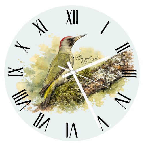 Dzięcioł zielony (Picus viridis) - prezent dla Ornitologa - Zegar