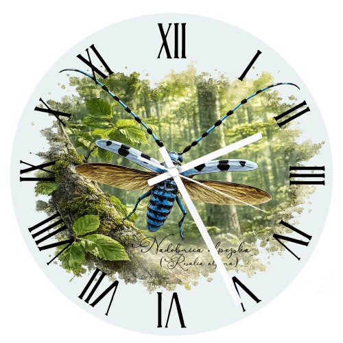 Szklany zegar z nadobnicą alpejską (Rosalia alpina) - autorska grafika Pauliny Strejczek-Jaźwińskiej. Średnica 30 cm, białe metalowe wskazówki. Kolekcja Nadobnica alpejska, Człowiek z Lasu.